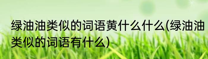 绿油油类似的词语黄什么什么(绿油油类似的词语有什么)