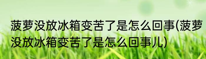 菠萝没放冰箱变苦了是怎么回事(菠萝没放冰箱变苦了是怎么回事儿)