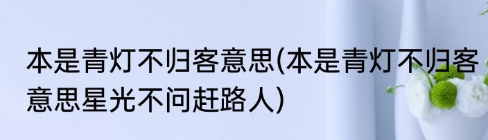 本是青灯不归客意思(本是青灯不归客意思星光不问赶路人)