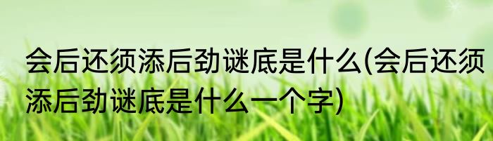 会后还须添后劲谜底是什么(会后还须添后劲谜底是什么一个字)