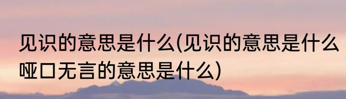 见识的意思是什么(见识的意思是什么哑口无言的意思是什么)