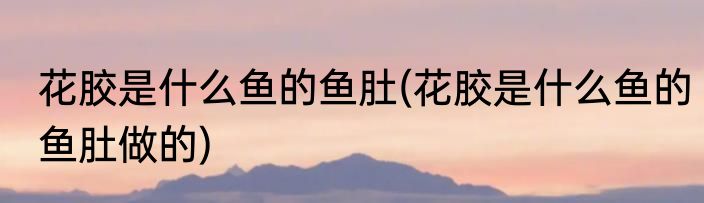 花胶是什么鱼的鱼肚(花胶是什么鱼的鱼肚做的)