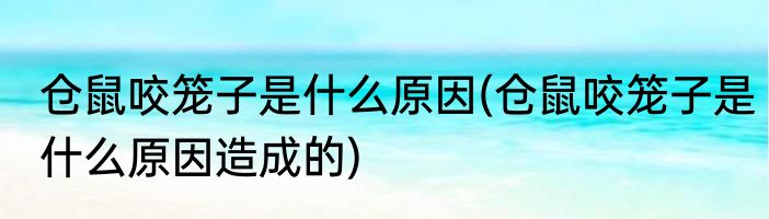仓鼠咬笼子是什么原因(仓鼠咬笼子是什么原因造成的)