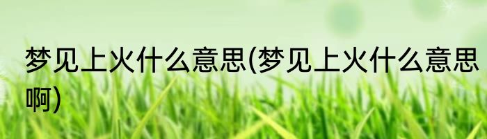 梦见上火什么意思(梦见上火什么意思啊)