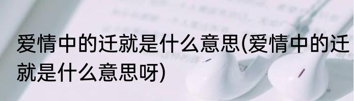 爱情中的迁就是什么意思(爱情中的迁就是什么意思呀)