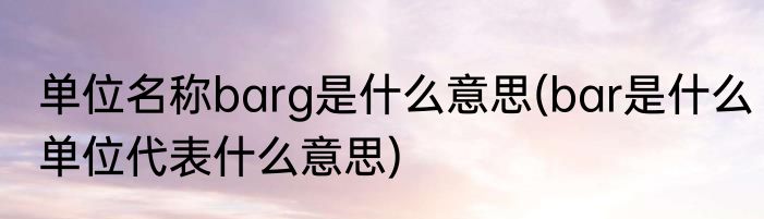 单位名称barg是什么意思(bar是什么单位代表什么意思)