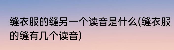 缝衣服的缝另一个读音是什么(缝衣服的缝有几个读音)