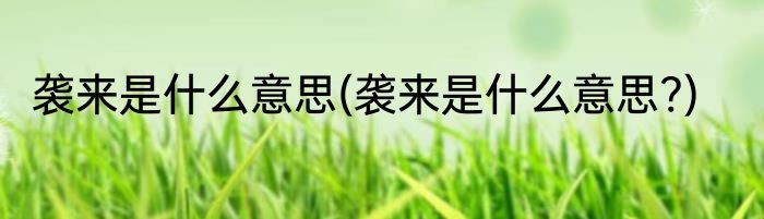 袭来是什么意思(袭来是什么意思?)