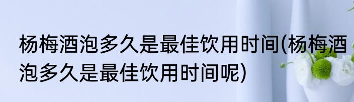 杨梅酒泡多久是最佳饮用时间(杨梅酒泡多久是最佳饮用时间呢)