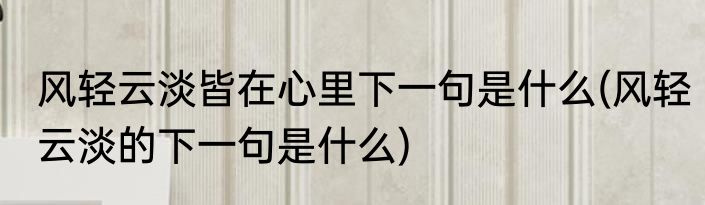 风轻云淡皆在心里下一句是什么(风轻云淡的下一句是什么)