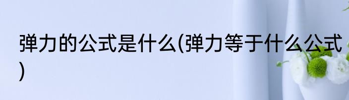 弹力的公式是什么(弹力等于什么公式)