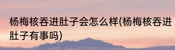 杨梅核吞进肚子会怎么样(杨梅核吞进肚子有事吗)