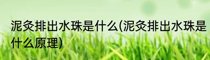 泥灸排出水珠是什么(泥灸排出水珠是什么原理)
