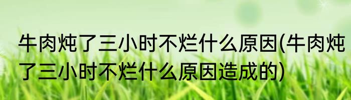 牛肉炖了三小时不烂什么原因(牛肉炖了三小时不烂什么原因造成的)