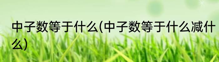 中子数等于什么(中子数等于什么减什么)