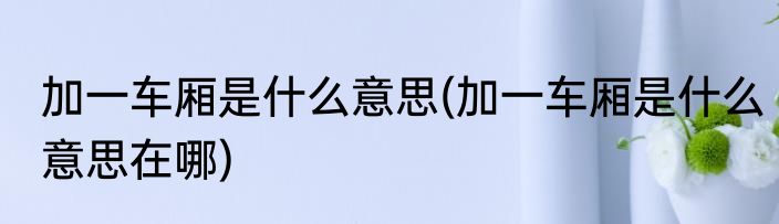 加一车厢是什么意思(加一车厢是什么意思在哪)