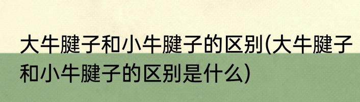 大牛腱子和小牛腱子的区别(大牛腱子和小牛腱子的区别是什么)