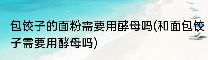 包饺子的面粉需要用酵母吗(和面包饺子需要用酵母吗)