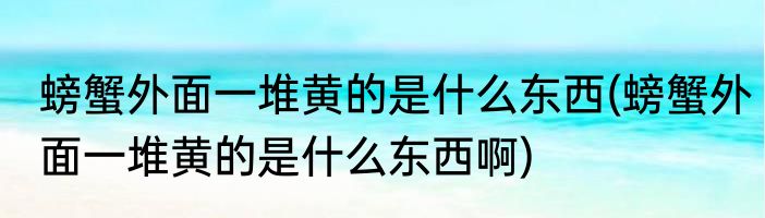 螃蟹外面一堆黄的是什么东西(螃蟹外面一堆黄的是什么东西啊)