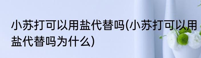 小苏打可以用盐代替吗(小苏打可以用盐代替吗为什么)