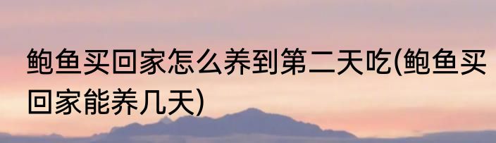 鲍鱼买回家怎么养到第二天吃(鲍鱼买回家能养几天)