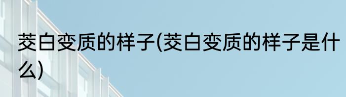 茭白变质的样子(茭白变质的样子是什么)