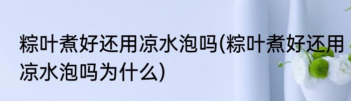粽叶煮好还用凉水泡吗(粽叶煮好还用凉水泡吗为什么)