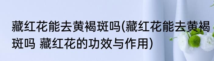 藏红花能去黄褐斑吗(藏红花能去黄褐斑吗 藏红花的功效与作用)