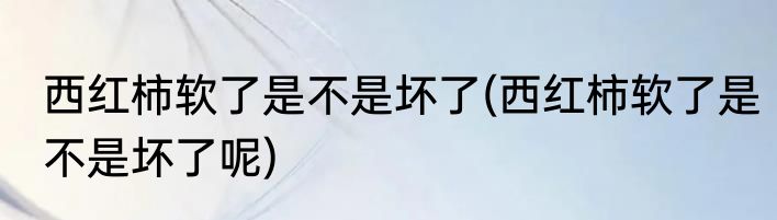 西红柿软了是不是坏了(西红柿软了是不是坏了呢)