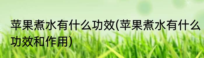 苹果煮水有什么功效(苹果煮水有什么功效和作用)