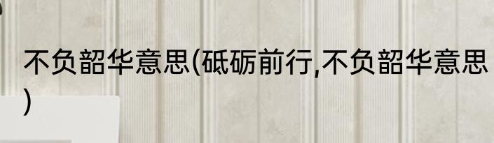 不负韶华意思(砥砺前行,不负韶华意思)