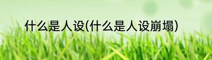 什么是人设(什么是人设崩塌)