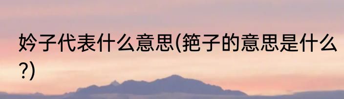 妗子代表什么意思(筢子的意思是什么?)