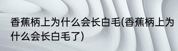 香蕉柄上为什么会长白毛(香蕉柄上为什么会长白毛了)