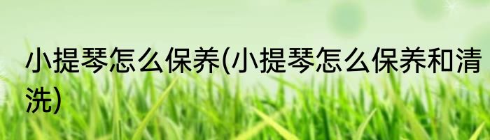 小提琴怎么保养(小提琴怎么保养和清洗)