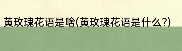 黄玫瑰花语是啥(黄玫瑰花语是什么?)
