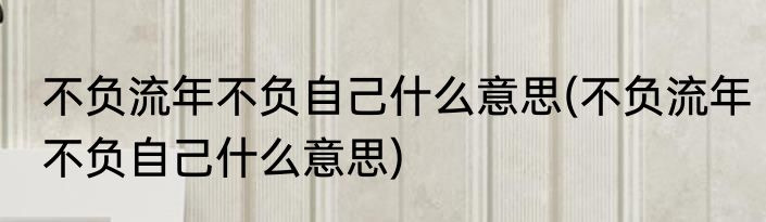不负流年不负自己什么意思(不负流年不负自己什么意思)