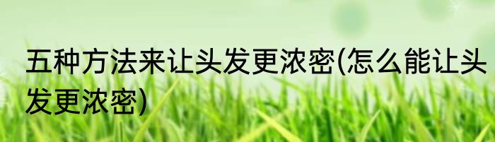 五种方法来让头发更浓密(怎么能让头发更浓密)