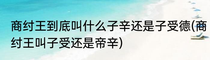 商纣王到底叫什么子辛还是子受德(商纣王叫子受还是帝辛)
