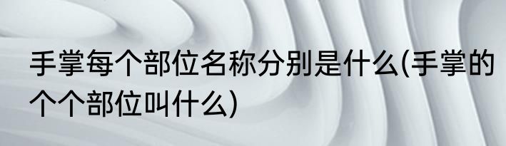 手掌每个部位名称分别是什么(手掌的个个部位叫什么)