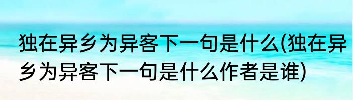 独在异乡为异客下一句是什么(独在异乡为异客下一句是什么作者是谁)