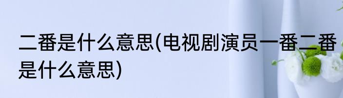 二番是什么意思(电视剧演员一番二番是什么意思)