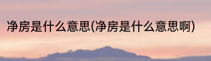 净房是什么意思(净房是什么意思啊)