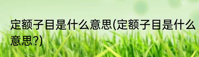 定额子目是什么意思(定额子目是什么意思?)