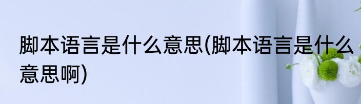 脚本语言是什么意思(脚本语言是什么意思啊)