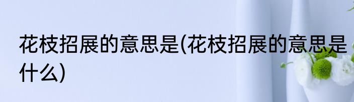 花枝招展的意思是(花枝招展的意思是什么)