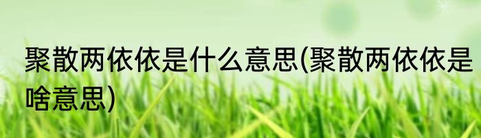 聚散两依依是什么意思(聚散两依依是啥意思)