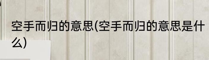 空手而归的意思(空手而归的意思是什么)
