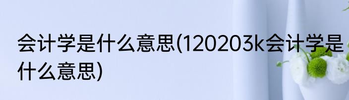 会计学是什么意思(120203k会计学是什么意思)