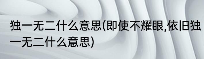 独一无二什么意思(即使不耀眼,依旧独一无二什么意思)